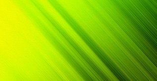 000804