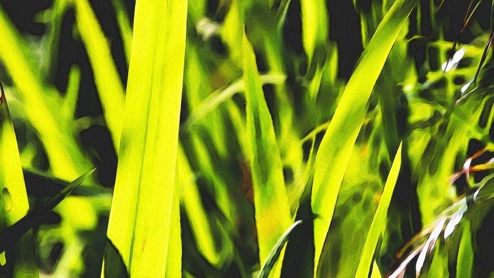 Leinwandbild