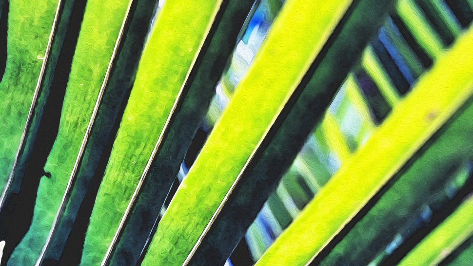  Leinwandbild