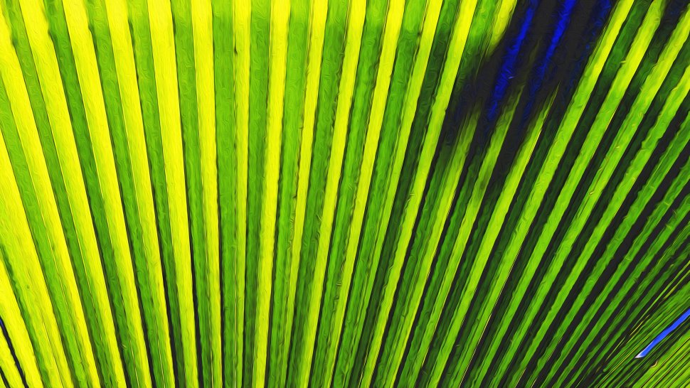  Leinwandbild